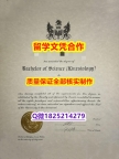 办理【加拿大戴尔豪斯大学学历认证留信网本科毕业证照片】学历认证 本科