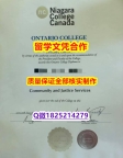 申请大学【加拿大尼亚加拉学院学历认证留信网本科毕业证伪造案例】补办硕士毕业证成绩单