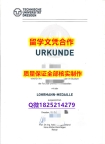 办理本科学位证书【德国德累斯顿工业大学学历认证留信网本科毕业证伪造案例】补办学士成绩单