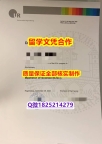 永久存档 无风险 【德国雷根斯堡大学学历认证留信网本科毕业证最新版】造假硕士学位证书