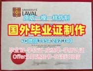 美国Maryville毕业证圣路易斯马利维尔大学文凭证书设计办理需要哪些材料?Maryville University of St. Louis Degree Certificate