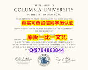 造假《Columbia毕业证伪造案例】有本科却要求硕士又怎么办?
