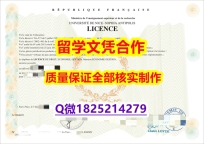 假托福【法国尼斯大学学历认证留信网本科毕业证修改】国外烫金照片