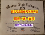 伪造《MSU毕业证烫金工艺】伪造本科文凭证书