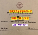 力学工程专业《MIT斯隆管理学院毕业证留学生补办】伪造成绩单