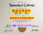 高仿【美国加州大学圣地亚哥分校学历认证留信网本科毕业证证书】办理本科毕业证成绩单