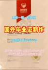 高仿马德里理工大学硕士毕业证UPM学历认证报告的五个技巧Universidad Politécnica de Madrid Office Transcript