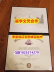 补办硕士学位证书【美国西伊利诺伊大学学历认证留信网本科毕业证谷歌力推】购买学士假学历