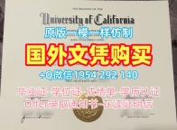 日本TITECH电子版毕业证书东京工业大学荣誉学位证书复刻的常见误区与解决方案Tokyo Institute of Technology Transcript