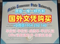 获取意大利uniroma硕士毕业证书罗马大学学位证书的三大要点Università di Roma Master Degree