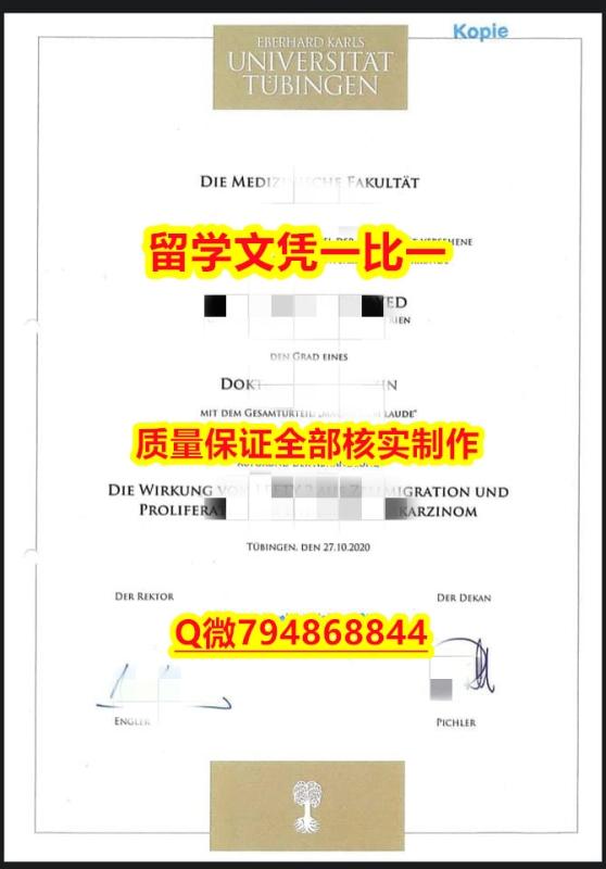 找工作Tüebingen U入学offer录取通知书多少钱】伪造学位证书 找工作Tüebingen U入学offer录取通知书多少钱】伪造学位证书