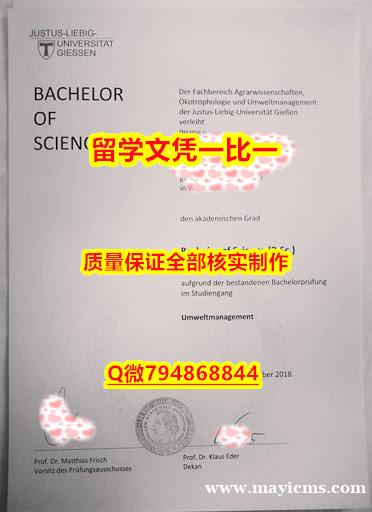 学位证价格吉森JLU入学offer录取通知书任意年份版】伪造硕士文凭证书 学位证价格吉森JLU入学offer录取通知书任意年份版】伪造硕士文凭证书