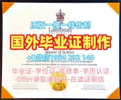 中欧大学本科毕业证CEU学历认证报告制作的五大理由Central European University Transcript