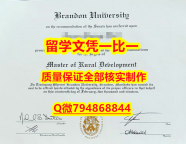 应付父母挂科补办Brandon入学offer录取通知书谷歌力推】办理国外学位证书价格