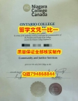 力学工程专业Niagara入学offer录取通知书无风险】【留学文凭】
