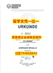 造假TUD入学offer录取通知书补办】办理学士毕业证成绩单