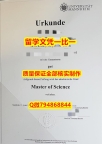 大使馆公证曼海姆大学入学offer录取通知书学历】办理学士学位证书