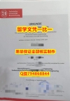 购买硕士文凭证书TU BS入学offer录取通知书硕士offer】伪造研究生学位证书