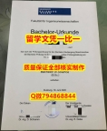 澳洲毕业证书杜伊斯堡-埃森DUE入学offer录取通知书 2020版】造假硕士文凭证书