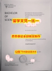 学位证价格吉森JLU入学offer录取通知书任意年份版】伪造硕士文凭证书