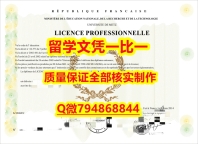 ★留信学历认证Lorraine入学offer录取通知书钢印完美】国外模版