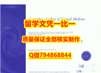 补办学士毕业证泰瑞维提理工学院入学offer录取通知书咨询办理】有本科却要求硕士又怎么办?
