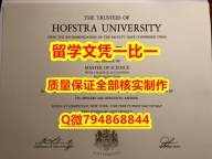 力学工程专业Hofstra入学offer录取通知书仿真】伪造研究生成绩单