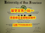 国外学历认证咨询USF入学offer录取通知书留学生应付家长】购买硕士假学历