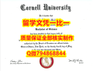 购买本科Cornell入学offer录取通知书购买】造假假学历