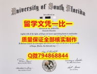快速拿到USF入学offer录取通知书推荐】伪造成绩单