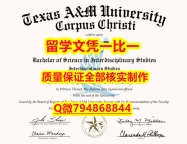 毕业证价格TAMU入学offer录取通知书全套办理】补办学士成绩单