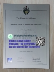 University of Leeds degree 利兹大学