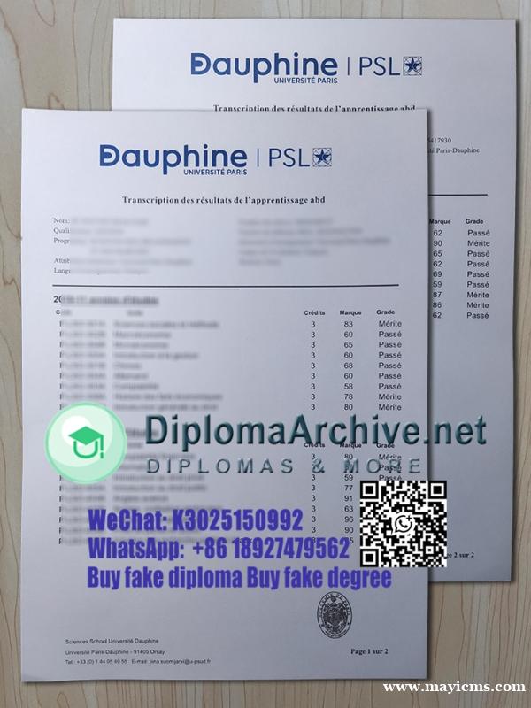 Paris Dauphine University transcript巴黎第九大学 Paris Dauphine University transcript巴黎第九大学
