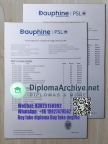 Paris Dauphine University transcript巴黎第九大学