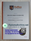 RCHE Raffles College of Higher Education dipoma