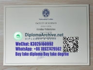 LEI diploma, Leiden University diploma 莱顿大学