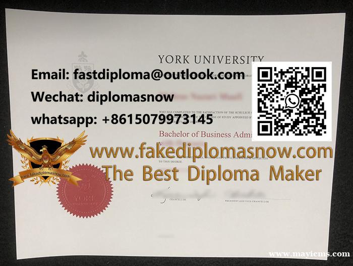 York University degree York University degree