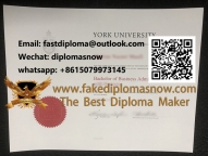 York University degree