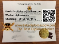 University of Calgary degree