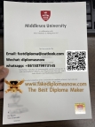 Middlesex University degree