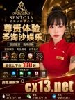 圣淘沙娱乐 圣淘沙公司 腾龙娱乐 金沙娱乐