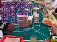 华纳国际福布斯博彩公司银河娱乐PG官网sts6025.com百家乐官网233716.com