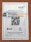 普通中等教育剑桥证书, OCR GCSE Certificate