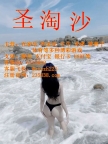 福布斯娱乐网投百家乐下注咨询客服飞机✈：@stszh223