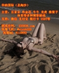 欧亚公司app开号客服QQ·6110892游戏官网235838.com